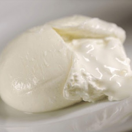 Burrata